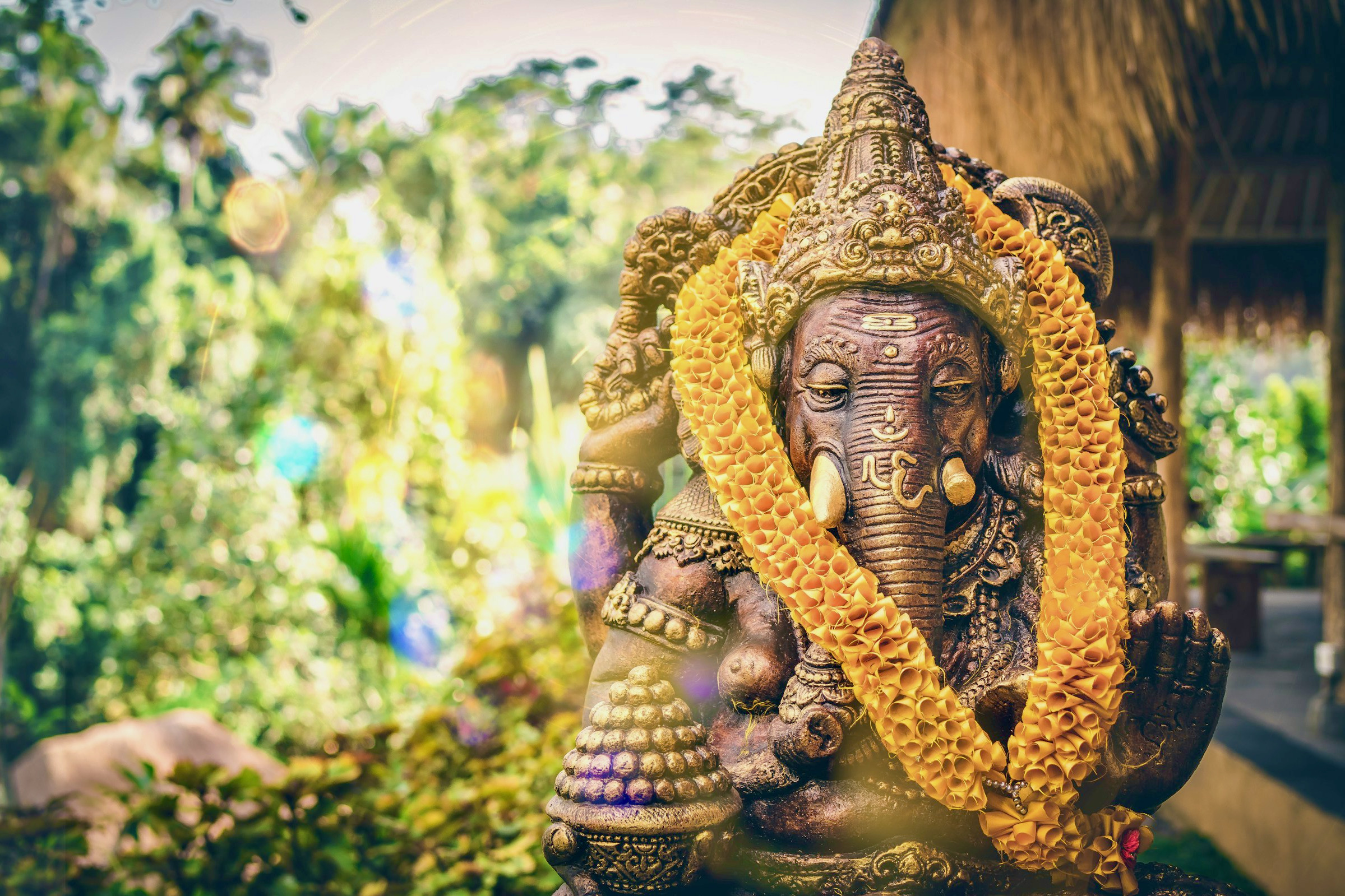 Hatha yoga: de basis van yoga